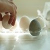 soil　ＤＲＹＩＮＧ　ＥＧＧ （ドライングエッグ） 炭入りタマゴ型調湿脱臭剤 ４個セット