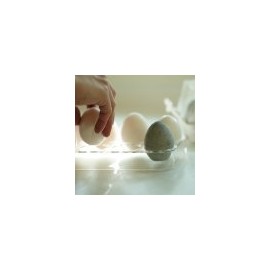 soil　ＤＲＹＩＮＧ　ＥＧＧ （ドライングエッグ） 炭入りタマゴ型調湿脱臭剤 ４個セット