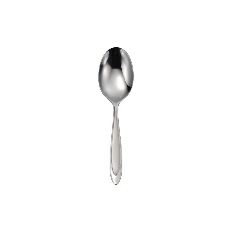 Oneida Aurora Casserole Spoon