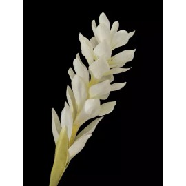 flowersbyjames Ginger lily stem. Silk flower arrangements tropical Hawaiian flowers  WHITE