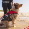 EZYDOG DFD Life Jacket | Lifejacket, Boating, Dog Friendly, Paddle