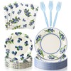 Havawish 122 Pcs/ 24 Set Blueberry Party Supplies Baby Shower