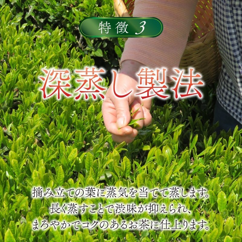 Japanese Caffeinated Green Tea Green Tea Caffeinated Green Tea Made