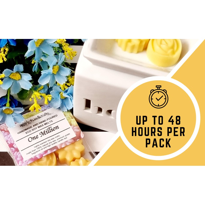 One Million Highly Scented Soy Wax Melts
