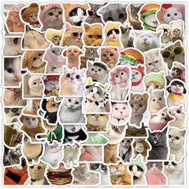 100Pcs Cute Cat Stickers, Vinyl Waterproof Sticker for Water Bottles Laptop Holiday Party Classroom Decor (Funny Cat)