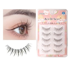False Eyelashes, Natural, Transparent Axis, Handmade Popular, DIY at Home, Natural False Eyelashes, Thin Makeup, Lifestyle Makeup, Cosplay Makeup, False Eyelashes, 5 Pairs (Flower Dance Twigs)
