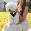 DONGKER Dog Tuxedo Collar, Adjustable Dogs Formal Tuxedo with Bow