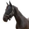 RESISTANCE Premium Horse Fly Mask with Ears - Ultimate Insect