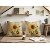 Doobicy Vintage Car Throw Pillow Covers 18x18 Set of 2