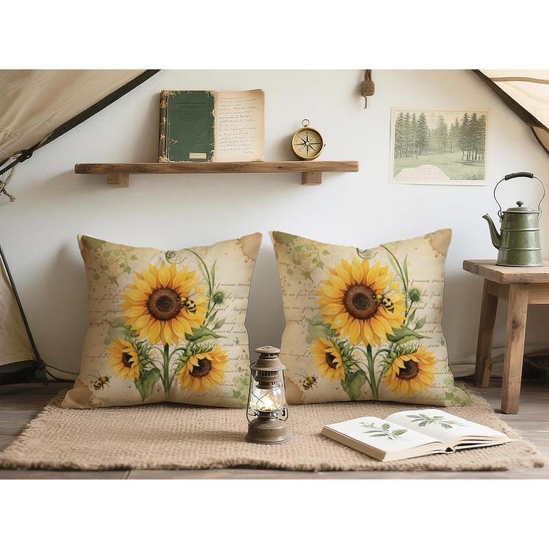 Doobicy Vintage Car Throw Pillow Covers 18x18 Set of 2