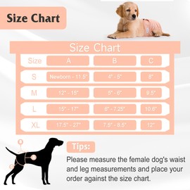 Barklincharm Reusable Female Dog Diaper, Highly Absorbent Doggie Diapers for Dogs, Dog Diapers Female Medium, Blue & Pink