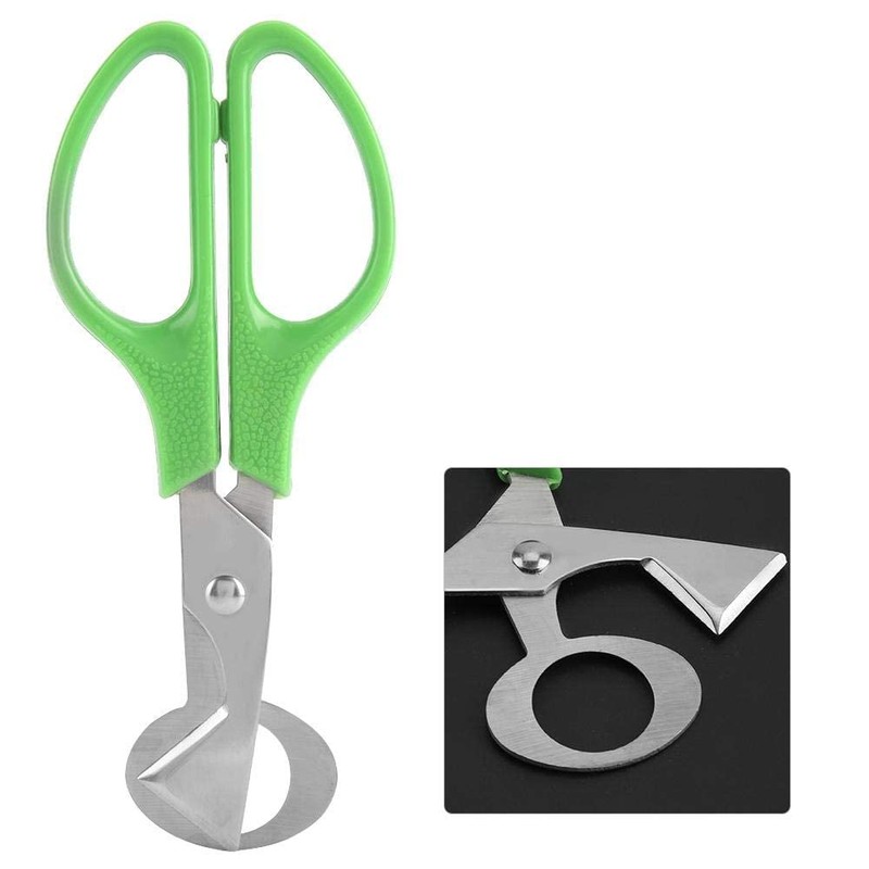 Kitchen Egg Scissors, Portable Anti-Rust Quail Egg Scissors Cutter Stainless