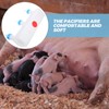 Yardwe Lamb and Pig Milk Feeder with 3 Pacifier Nipples