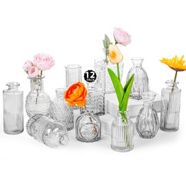 TCooSo Glass Bud Vase Set of 12, Clear Bud Vases in Bulk, Small Flower Vases for Table Centerpieces, Mini Vintage Vases for Rustic Wedding Party, Bridal Shower, Home Decoration (12 Pack)