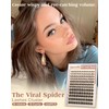 Spider Lash Clusters Wispy Eyelash Clusters Natural Breeze Lashes Cluster