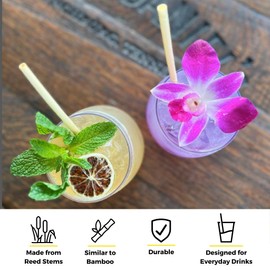 Holy City Straw Co. 7.9” Skinny Reed Drinking Straws | 25ct. | Sustainable Alternative to Plastic & BioPlastic | Compostable & Plastic-Free | Great for the Home Use or on the Go