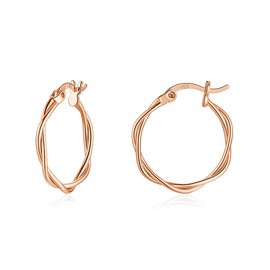 wynn's Silver Hoop Earrings for Women, Small Sleeper Silver Hoops Earrings, Hypoallergenic 925 Sterling Silver Twist Hoop Earrings for Women Girls, 20mm rose gold hoop earrings