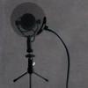 Stedman Proscreen DT101 Desktop Microphone Pop Filter
