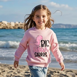 Sineeko Big Sister Sweatshirt for Toddler Girls Sweater Dinosaur Graphic Shirts Toddler Baby Announcement Clothes 5T