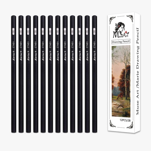Graduated Drawing Sketching Pencil Set - 12 Pieces,Graphite,(2B/4B/6B/8B), Ideal for