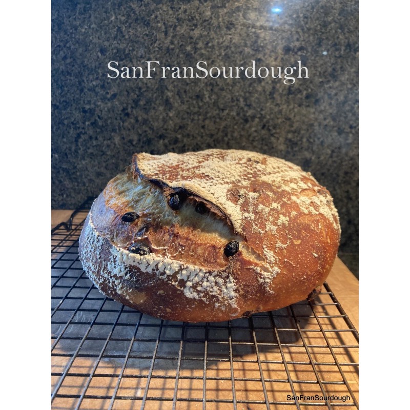 SanFranSourdough California SOUR STARTER tangy active strong Sourdough bread Organic