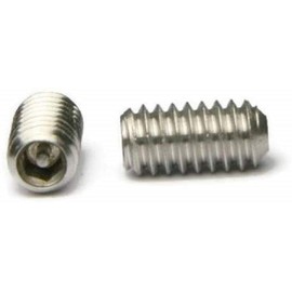 Tamper Proof Socket Set Screws 1/4"-20 Stainless Steel Security Screws 1/4"-20 x 1/2 inch Qty 100