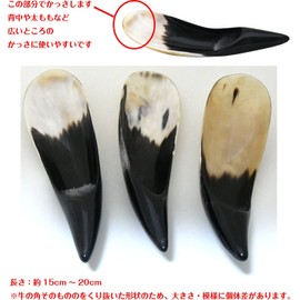 Namera Kasa Cow Horn Cone Plate