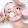 Pack of 4 Face Mask Brush Cosmetic Brush with Cat