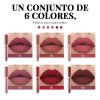 Set De 6 Labiales Handaiyan Lápiz Labial Color Rojo Mate