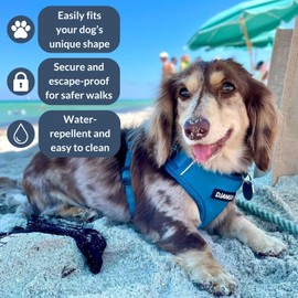 DJANGO Adventure Dog Harness - Stylish & Durable Large Dog Harness for Outdoor Adventures and Everyday Wear - Pacific Blue Neoprene Adjustable Harness for Dogs with Reflective Piping, Brass D-Ring