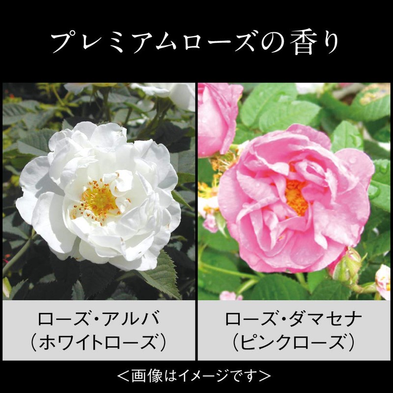 Milano Collection Face Up Powder 2023 Refill