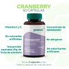 PRONAT Cranberry Concentrado de Arndano, Suplemento Alimenticio, con Vitamina C