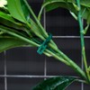 WILLBOND 200 Pieces Adjustable Plant Ties Flexible Garden Plant Ties,