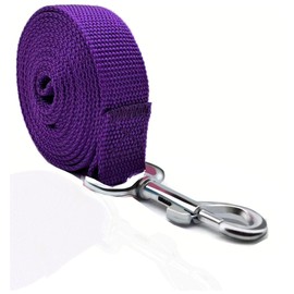 TAIAN 4FT/5FT/6FT Strong Dog Leash, Nylon Dog Leashes for Small Medium Large Dogs (3/4 in x 5 ft, Purple)