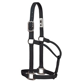 Weaver Leather 35-7385-BK Original Non-Adjustable Nylon Halter with Chrome Plated Hardware, Black, 1" Average Horse