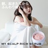 【頭皮と髪のクリーニング】マイスキャルプリッチスクラブ 頭皮用スクラブ 皮脂汚れ臭いすっきり 爽やかなオレンジベルガモットの香り 美容室専売品 天衣無縫監修