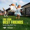 Gnawsome Medium Squeaker Bone for Dogs