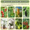 40 Pieces Plant Clip Plant Clips for Vine Stem Stem