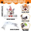 Oitnlaughter 24 Pcs Cat Birthday Party Hats Cats Theme Party