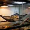 Snake Climbing Rings & Climbing Rope, Snake Reptile Hammock for