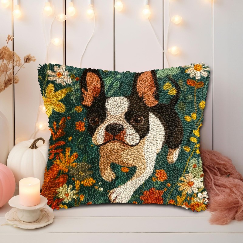 DIY Latch Hook Pillow Kits for Adults Cartoon Cute Boston