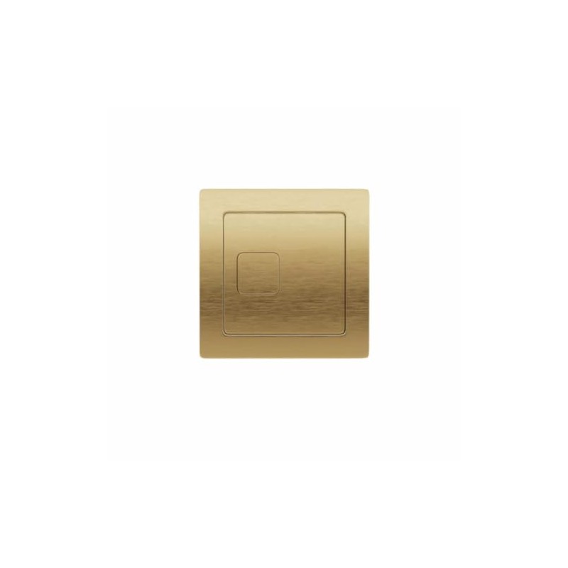 Brushed Brass Cistern Button | Brushed Brass | Cistern Button