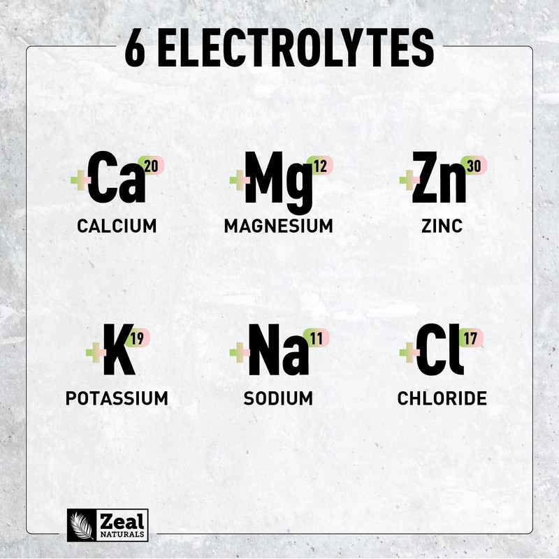 Zeal Electrolyte Powder - 90 Servings | Keto Electrolytes Powder