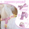 PUPTECK Dog Harness and Leash Set Small Sized, Lightweight Step-in
