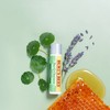Burt's Bees 버츠비 레스큐오인트먼트 시카 스틱 Burt's Bees Rescue Ointment Cica Stick