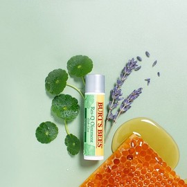 Burt's Bees 버츠비 레스큐오인트먼트 시카 스틱 Burt's Bees Rescue Ointment Cica Stick