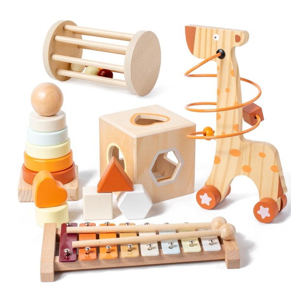 Montessori Toys for 1-3 Year Old, Baby Toys 12-18 Months,