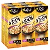 Simply Asia Japanese Style Udon Noodles, 14 oz (Pack of