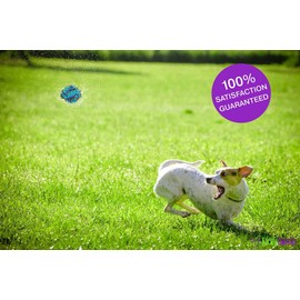 CHEW-STOP-DENTAL Puppy Dog Pet Rope Toys Stops Small Dogs and Teething Puppies from Destroying Your Stuff (Set of 4)