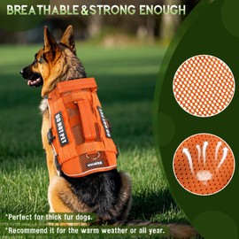 WINSEE Mesh Dog Harness with 10 Pet Patches for Large Service Dog in Training, Breathable Tactical Molle Vest with Double Handles, Reflective Military Pet Vest for Walking Hiking